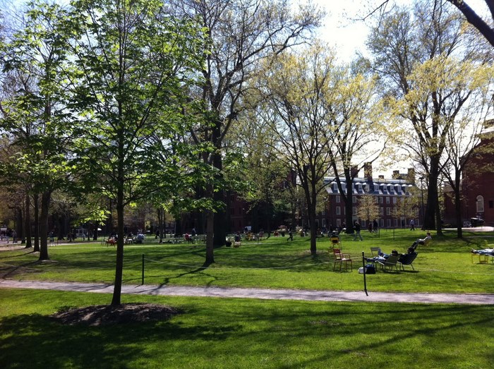Harvard Yard